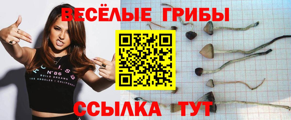 Галлюциногенные грибы прущие грибы  Вход с VPN  Ангарск 
